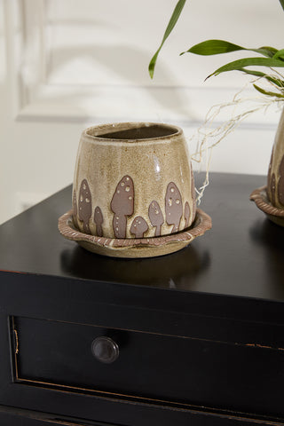 Wild Mushroom Pot Collection