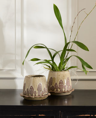 Wild Mushroom Pot Collection