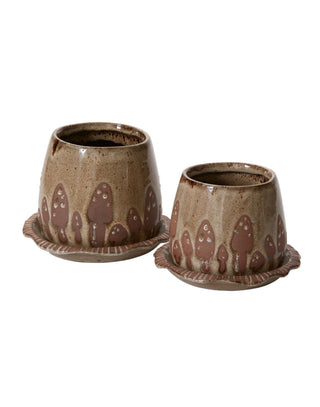 Wild Mushroom Pot Collection