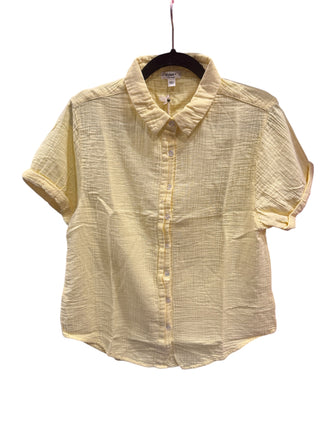 Dylan Natalie Roll Sleeve Shirt