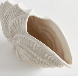 Nautilus Shell Vase