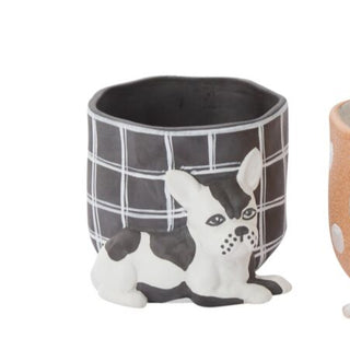 Pampered Pet Pots