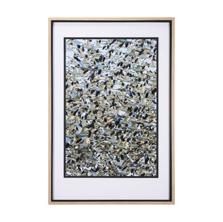Mercana Hand Embellished Snowgoose Migration Set