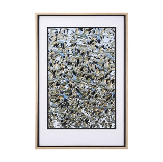 Mercana Hand Embellished Snowgoose Migration Set