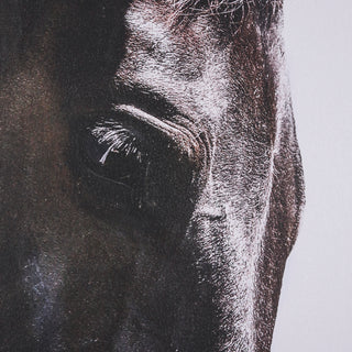 Mercana Hand Embellished Bingo The Horse