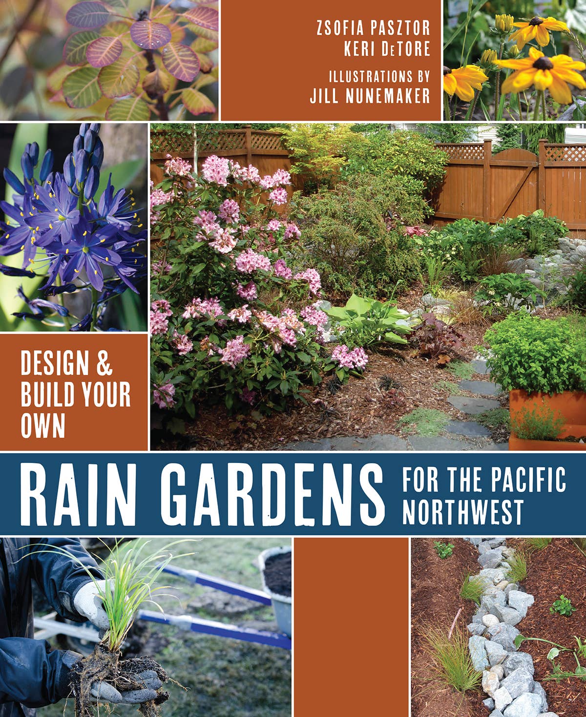 Rain Gardens for the Pacific Northwest