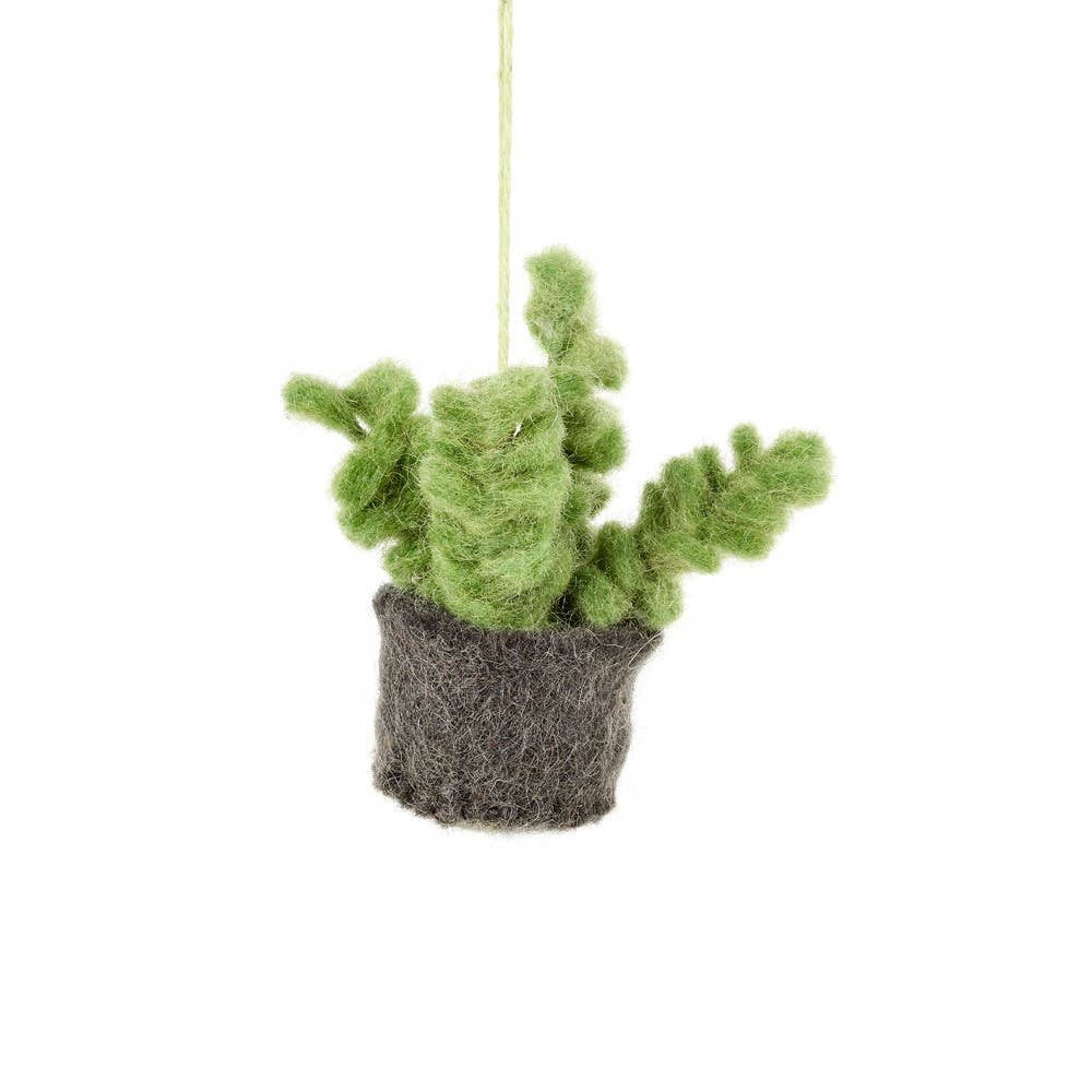 Felt So Good Mini Plants Decorations Set of 6