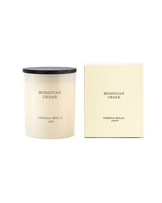 Cereria Molla Collection Moroccan Cedar