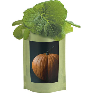 Garden in a Bag Vegetables