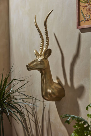 Antelope Head Wall Art