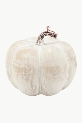 White pumpkin with a decorative stem on a white background