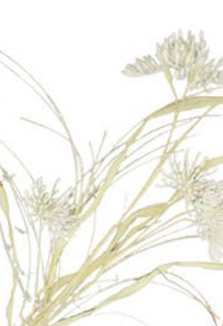 Wispy Fall Flower Pick - 24 in long each