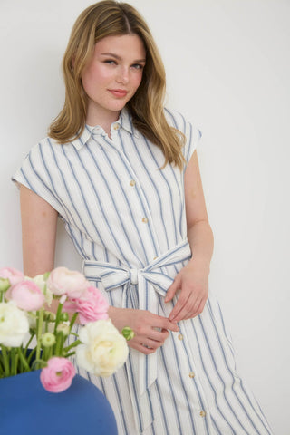 Kendal Button Down Stripe Dress