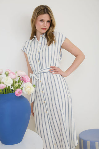 Kendal Button Down Stripe Dress