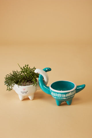 Dino Love Pots