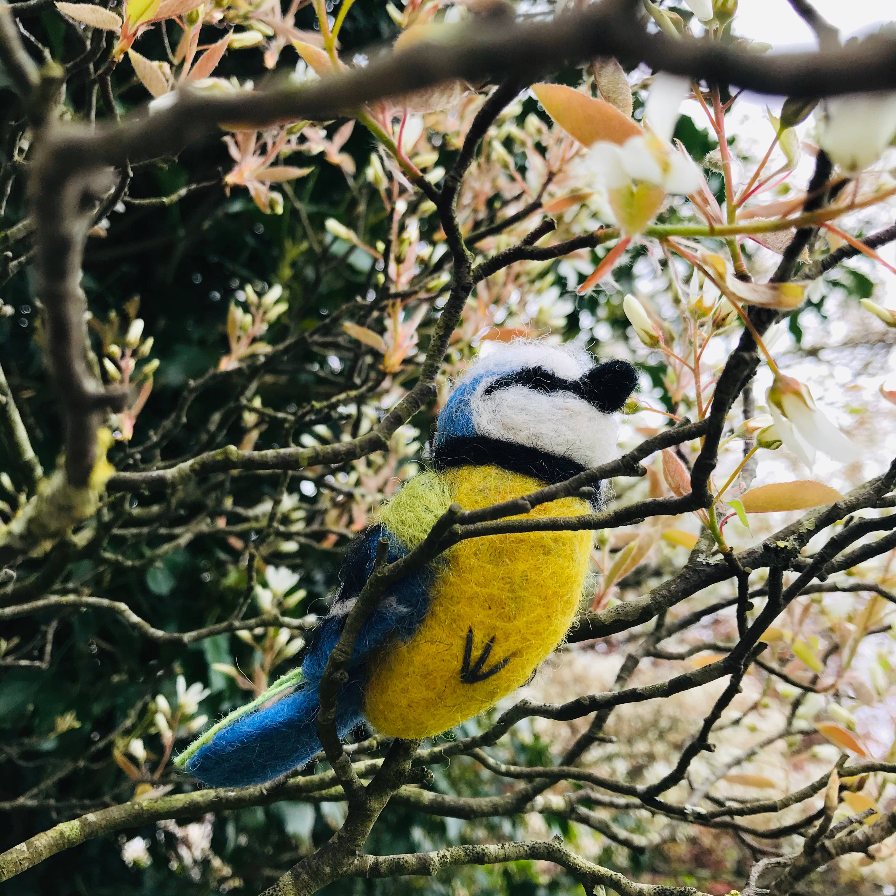 Felt So Good Bella the Blue Tit Biodegradable