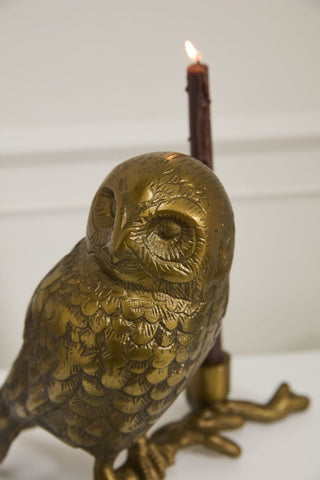 Owls Watch Candleholder