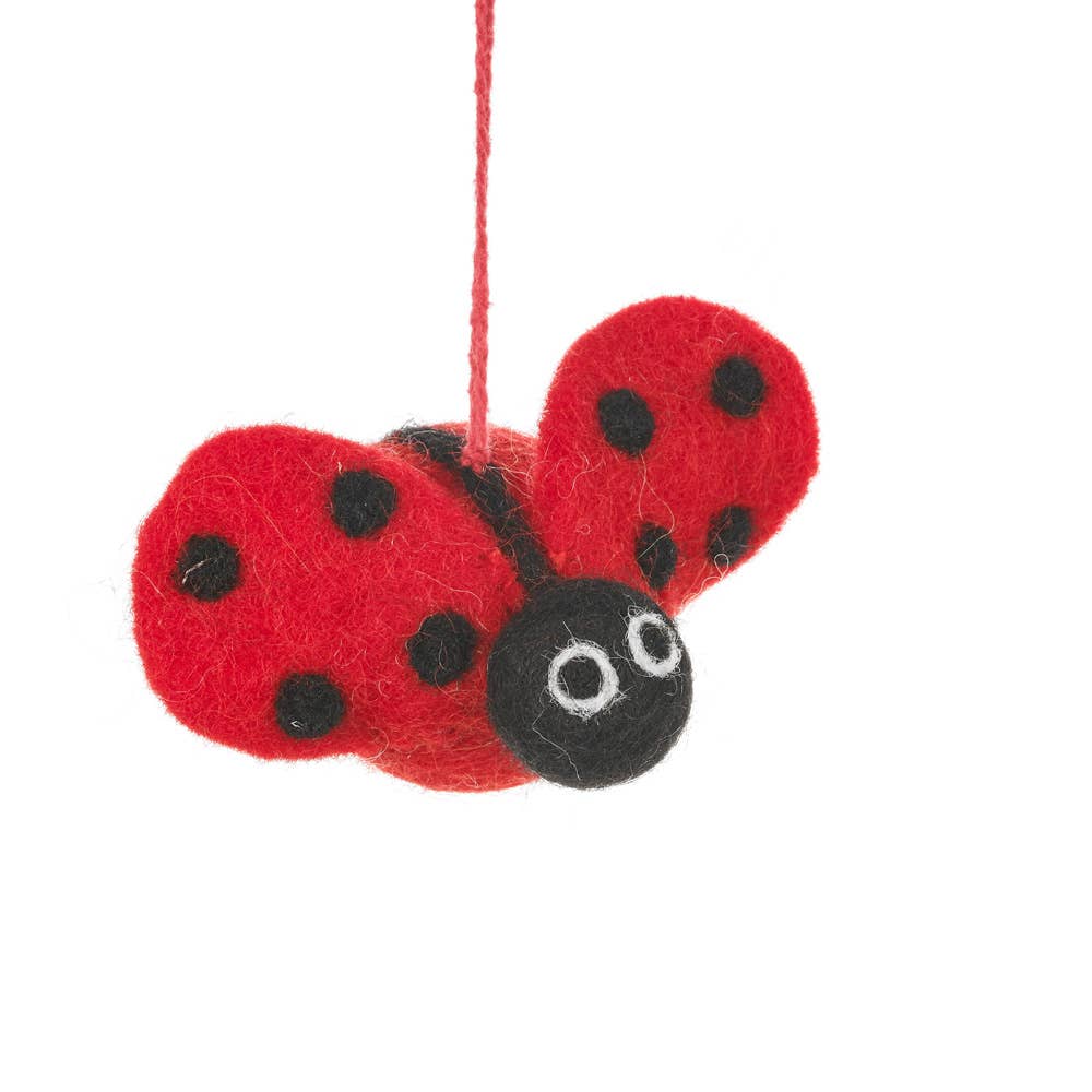 Felt So Good Lottie Ladybird