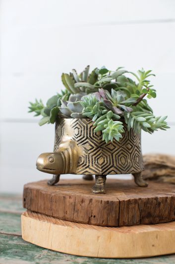 Tommie Turtle Pot