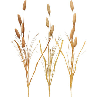 Fall Cattail Picks - 24 in long each