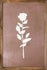 Floral & Garden Wall Art