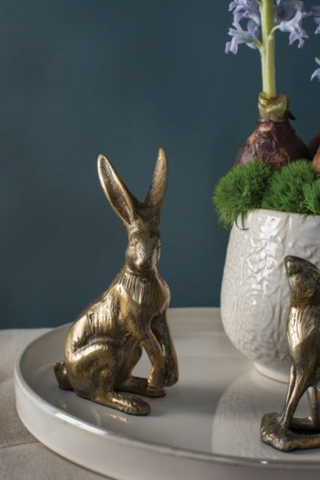 Bea Bunny Collection