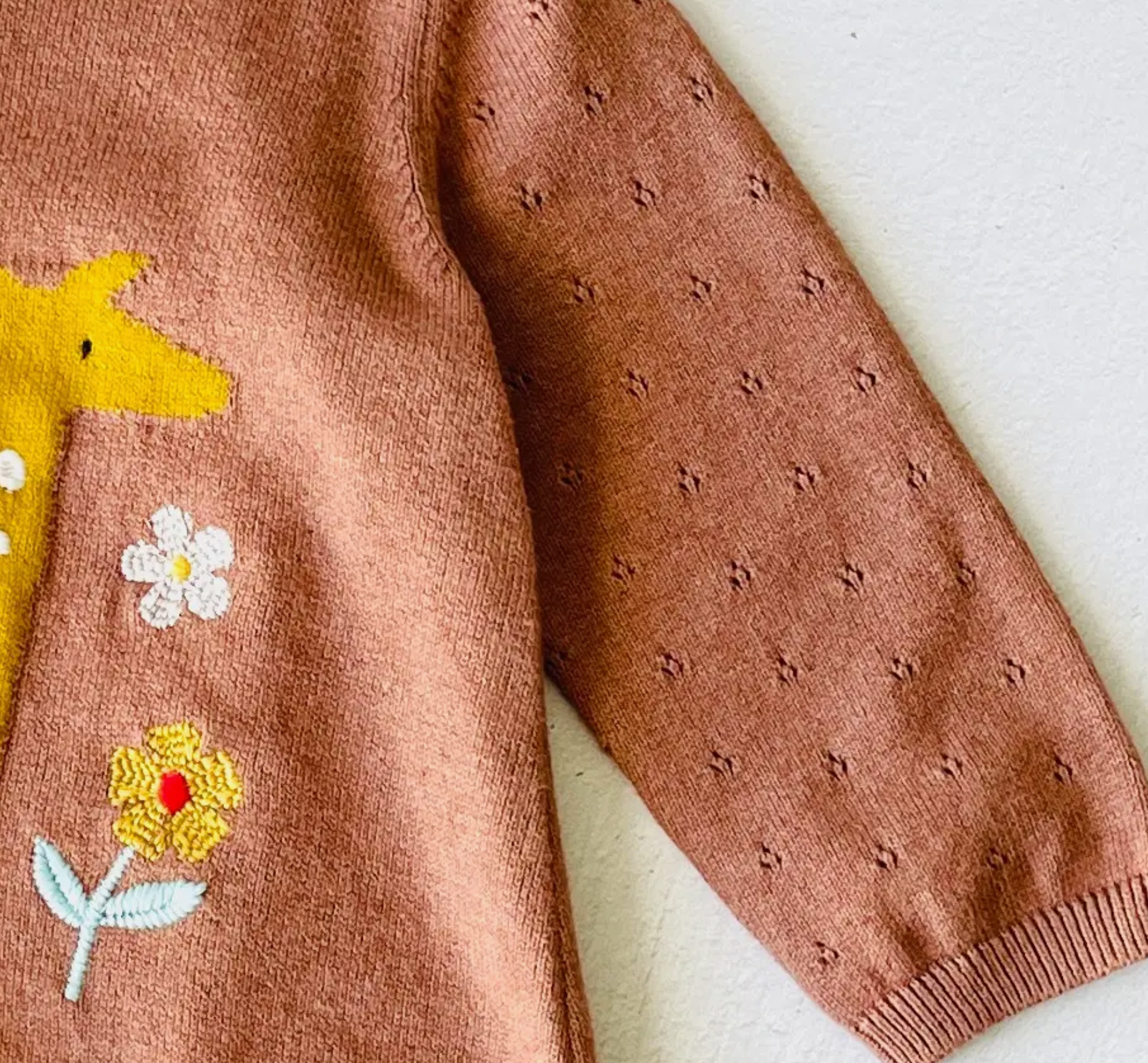 Viverano Embroidered Floral Giraffe A-Line Sweater Dress