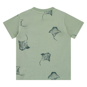 Babyface Boy Tee Manta Ray