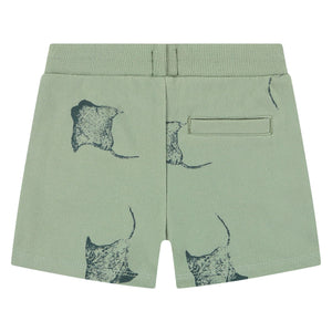 Babyface Boy Shorts Manta Ray